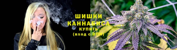 соль ск Арсеньев